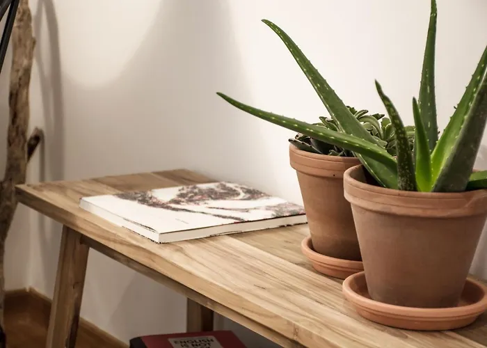 Precioso Atico Con Terraza Y Vistas A Silgar.